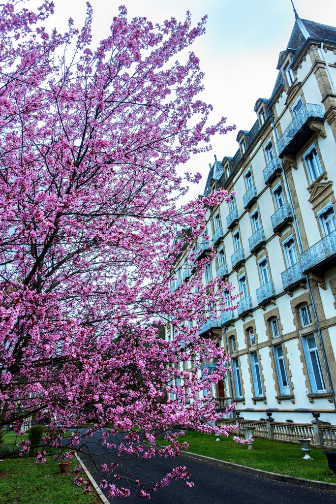 R&eacute;sidence du Parc &mdash; Saint-Nectaire